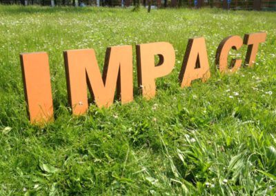 Project Impact – een strategie om maatschappelijke organisaties te versterken